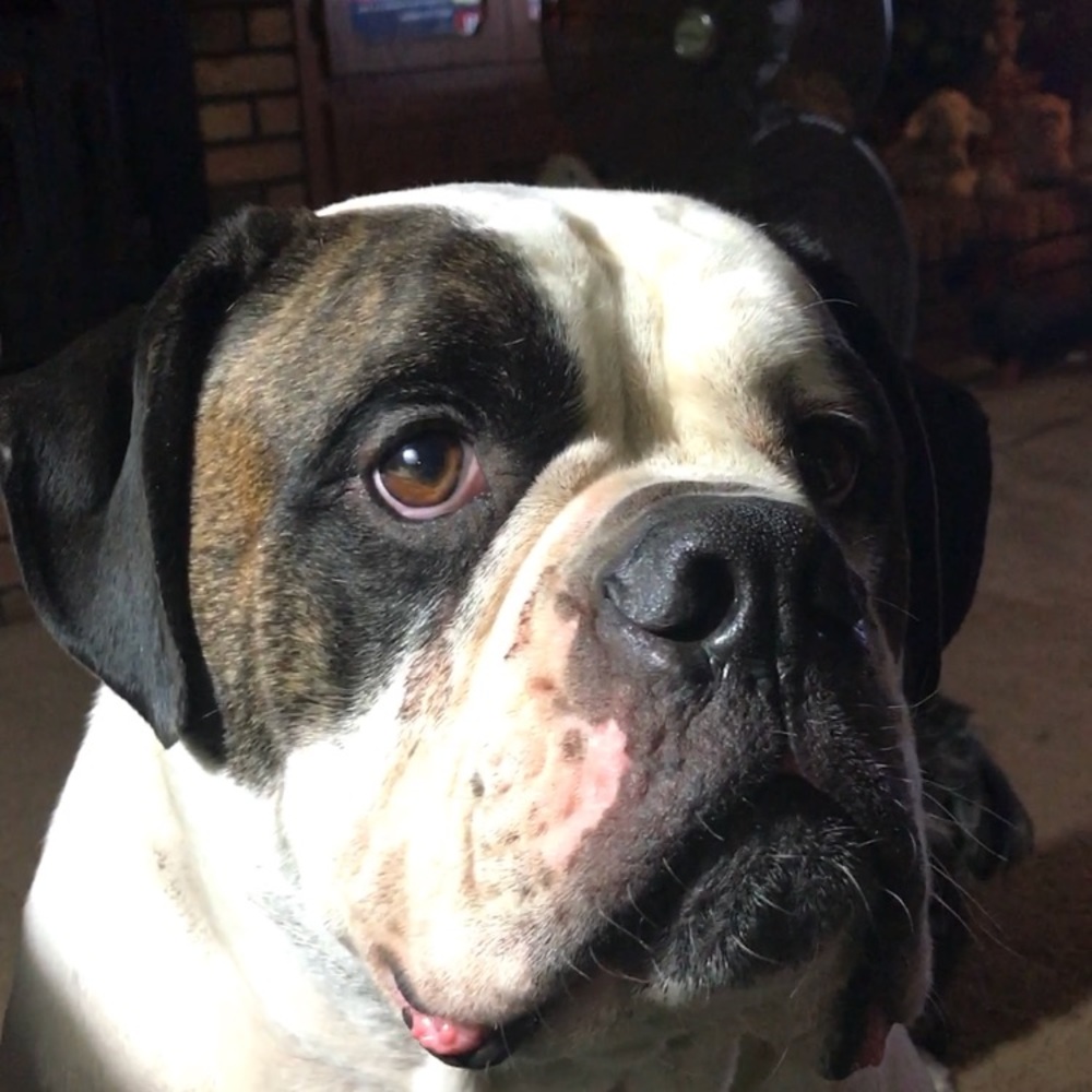 Meet your Posher, Jan